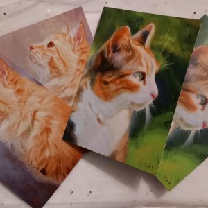 Cat Cards Bundle Large