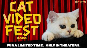 Cats Trust named campaign partner for Cat Video Fest 2026